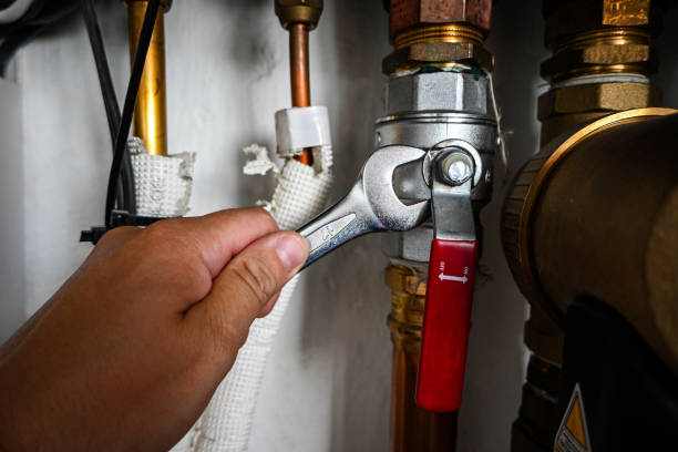 Best Best Plumbers Near Me  in Geneva, WA